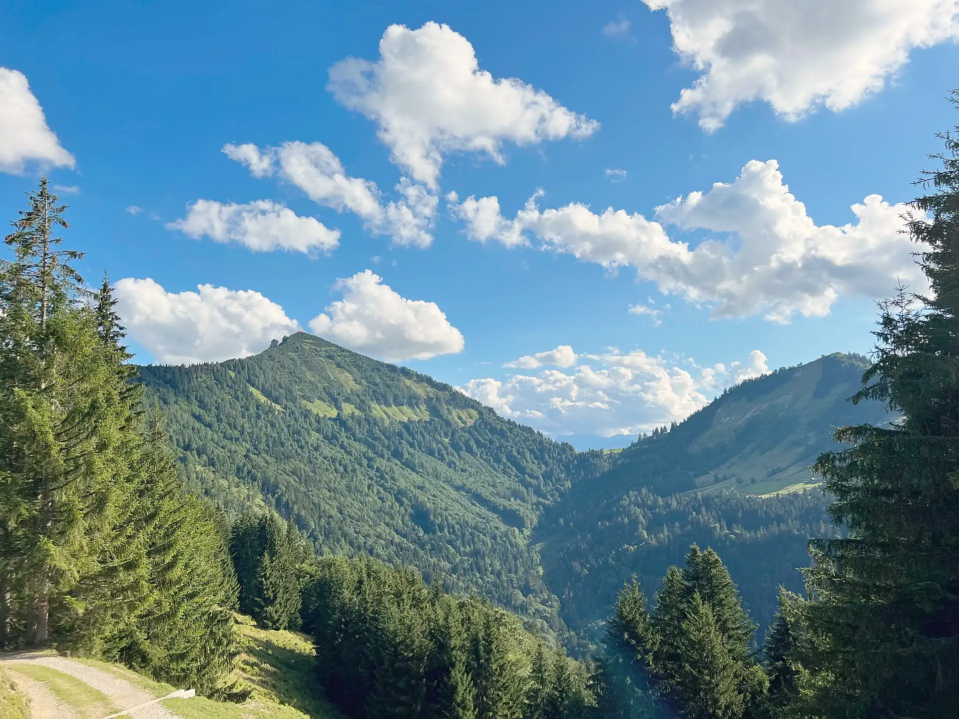 Blick von einem Wanderweg über bewaldete Bergrücken und Almwiesen unter blauem Himmel mit Quellwolken.