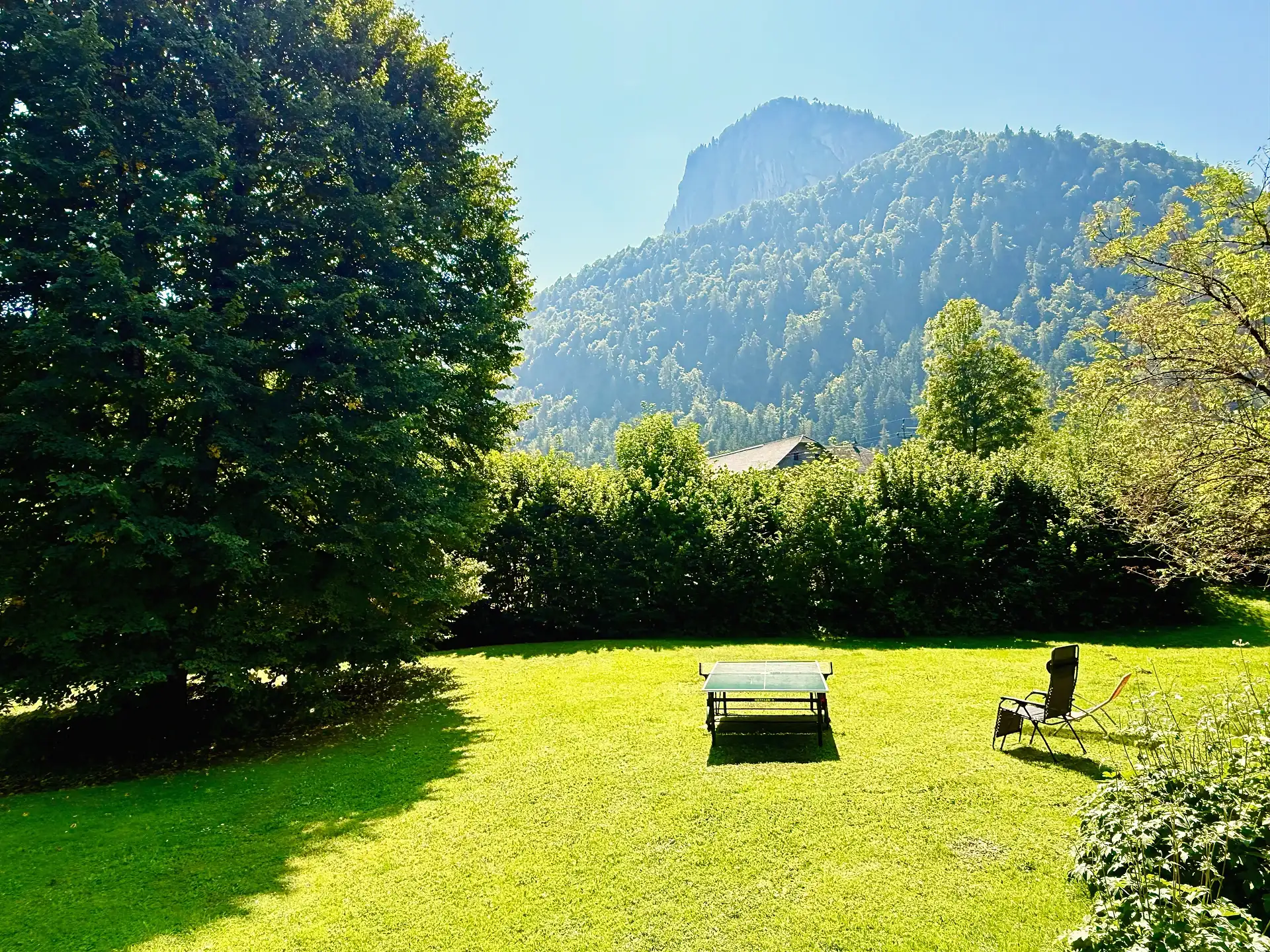 Blick vom Garten über die Wiese auf eine bewaldete Bergflanke mit heller Felswand, im Vordergrund ein großer Laubbaum.